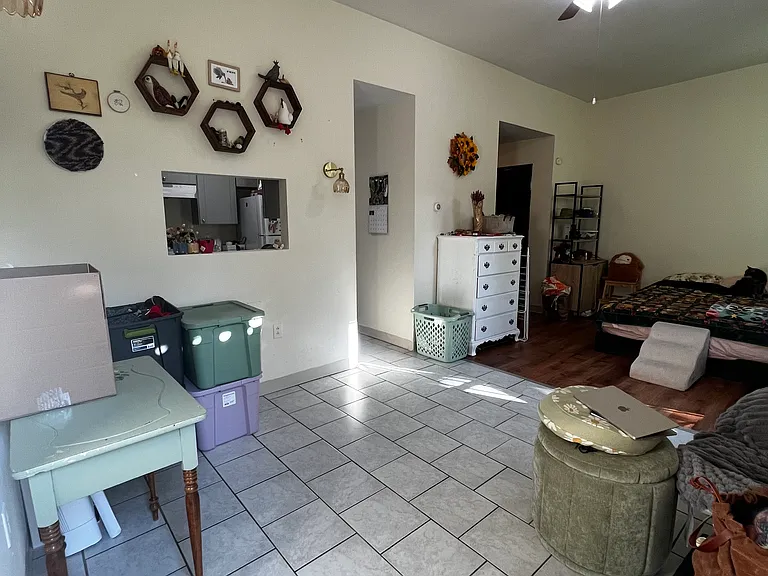 234 Pearl St #1 — Photo 5