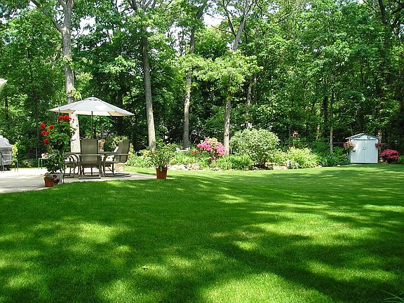 Yard - Patio