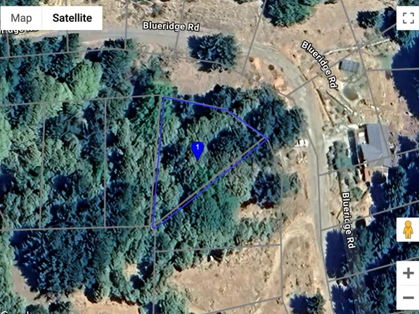 874 Blueridge Rd, Whitethorn, CA 95589