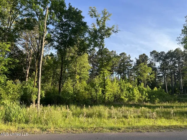 Oakside Trl #18, Madison, MS 39110
