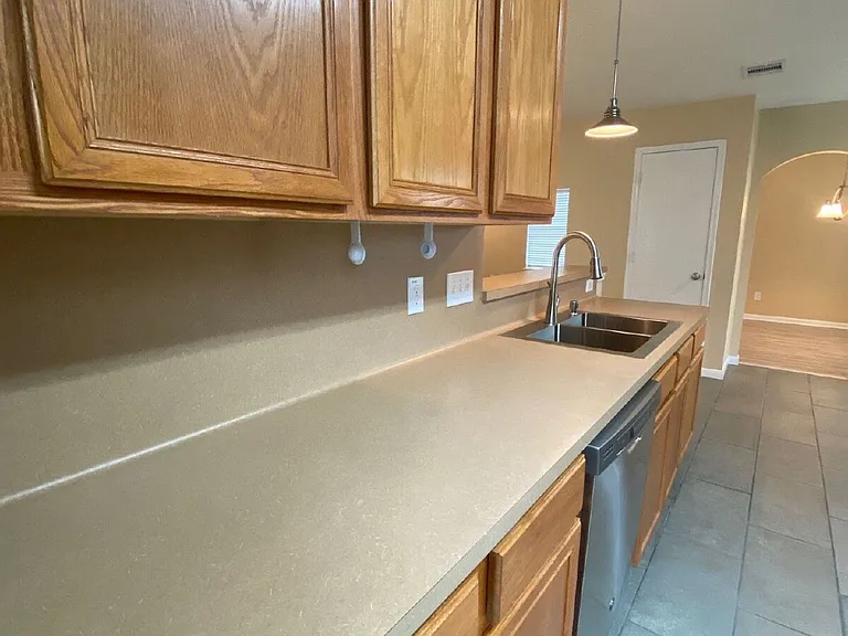 19162 Yellow Thrush Dr — Photo 59