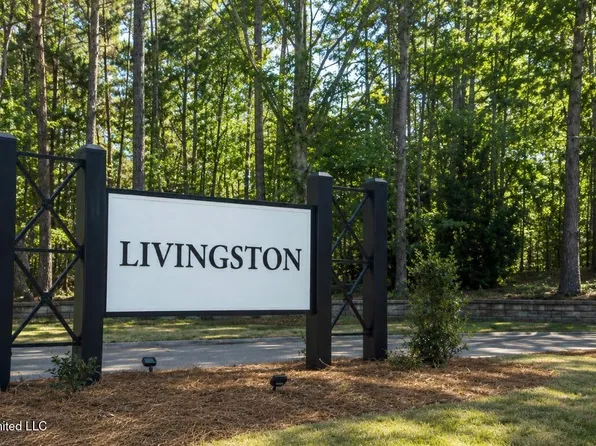 Mannsdale Rd Lot 56, Madison, MS 39110