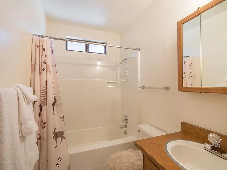 11822 Skislope Way — Photo 11