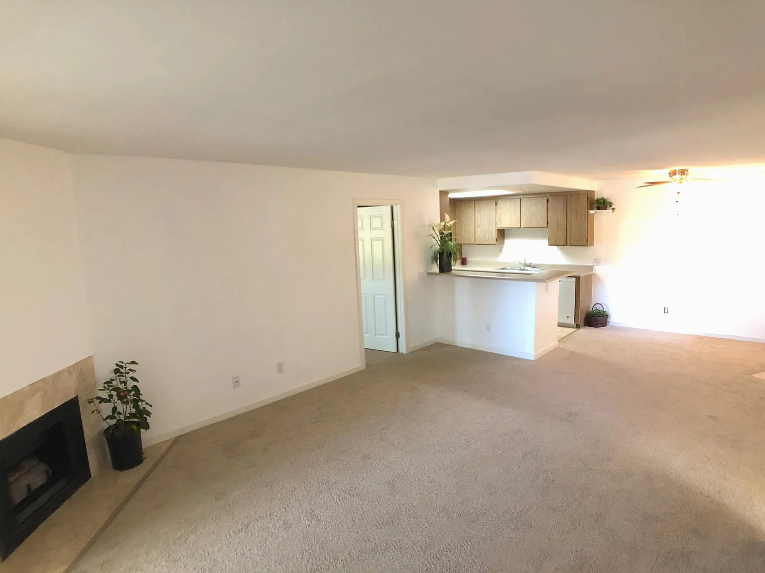 219 Woodland Pkwy — Photo 2