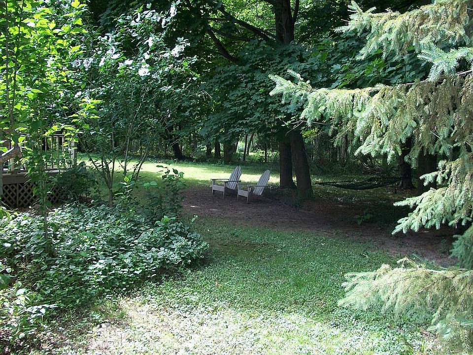 View of Backyard