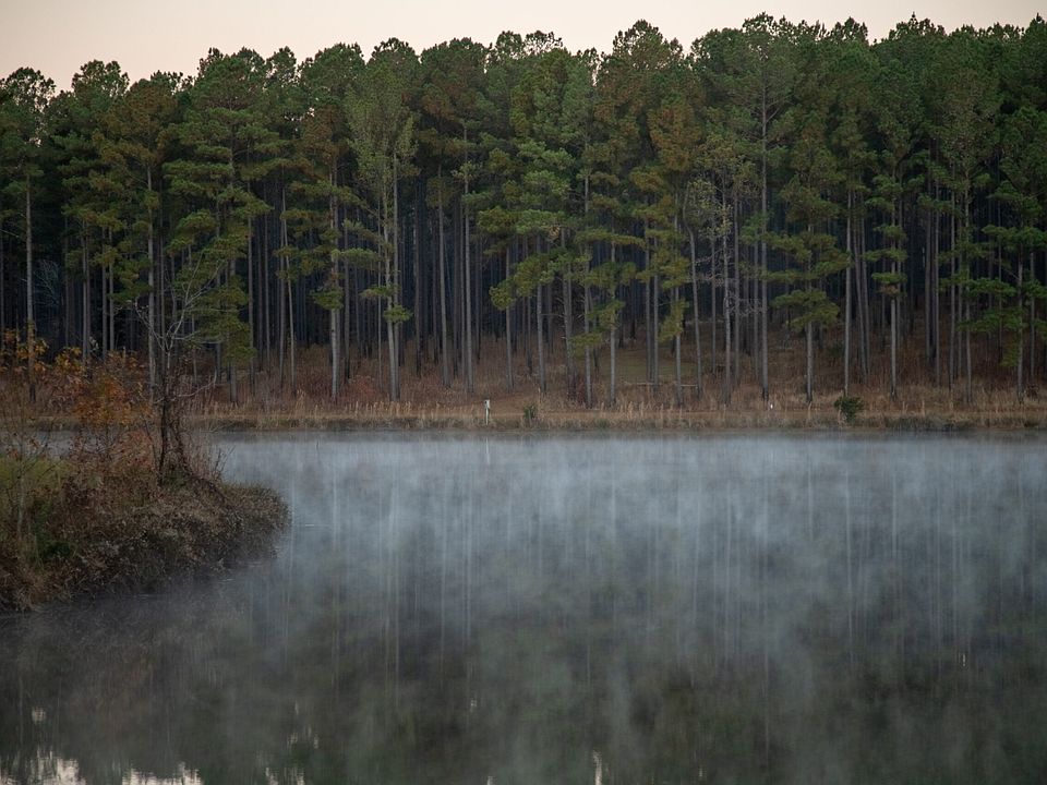 40th image of this home