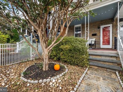 3507 Chestnut Ave, Baltimore, MD, 21211