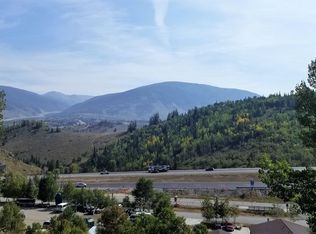 22 Fawn Ct, Silverthorne, CO 80498