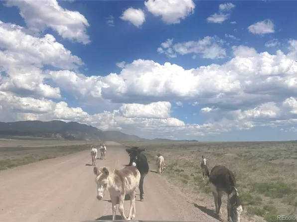 parrot Drive, Alamosa, CO 81101