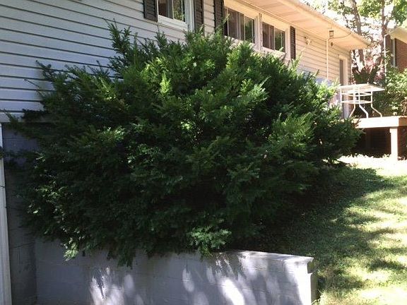 3rd image of 206 Woodland Dr