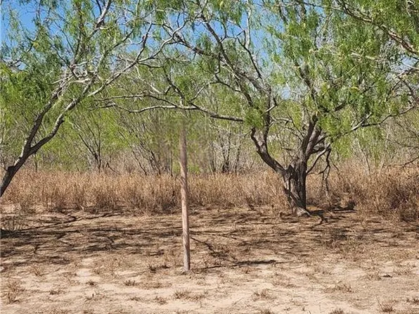 0 Lorese Ln, Edinburg, TX 78541