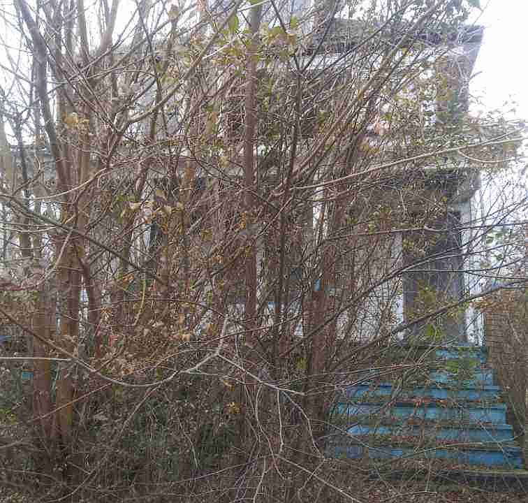 8943 Mcclellan