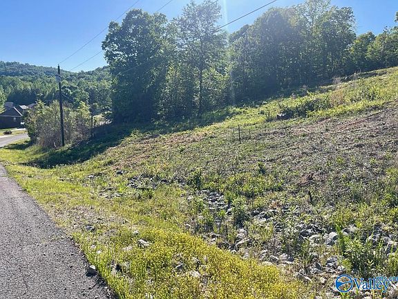 5th image of 175 Buckskin Dr