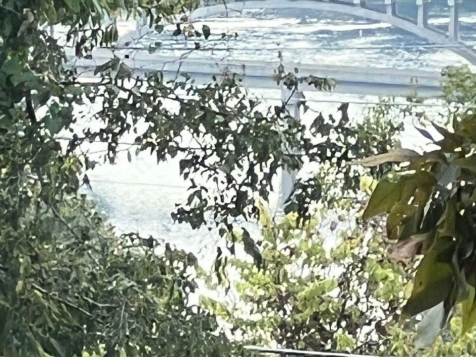 Modest view of Lake Taneycomo
