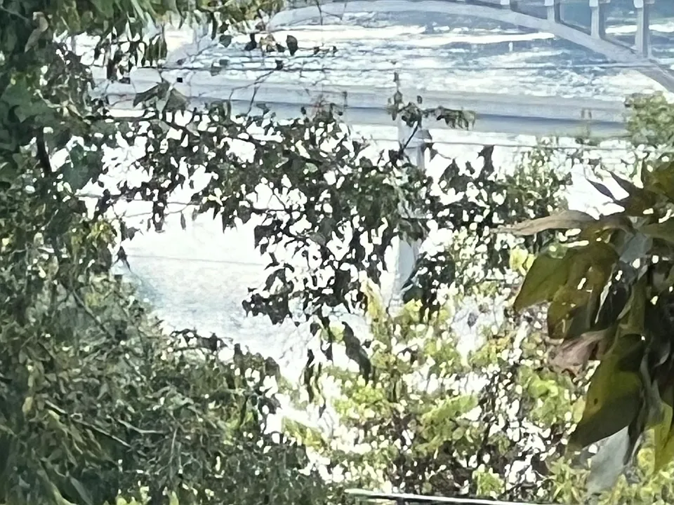 Modest view of Lake Taneycomo