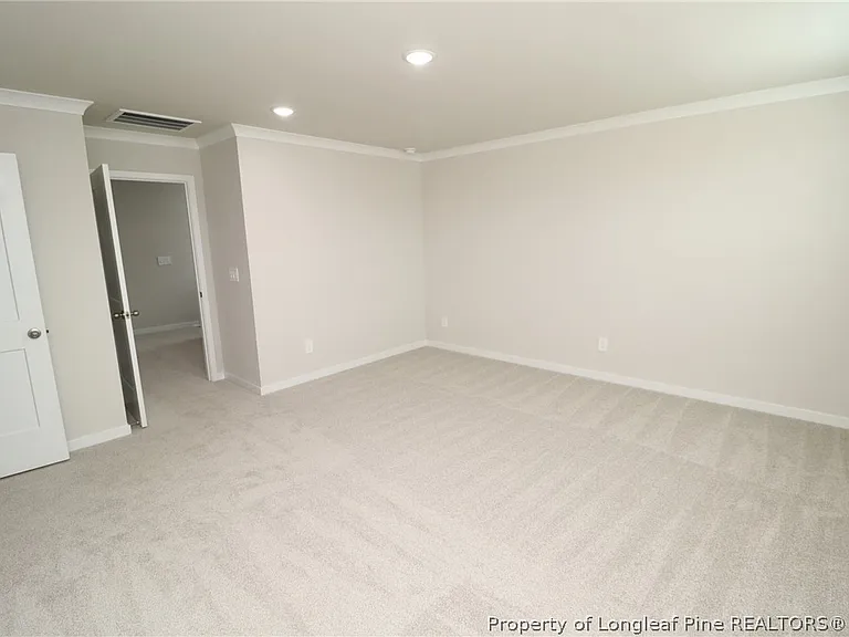 4121 Hazel Branch Way — Photo 20