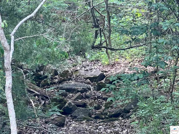 0 Sawmill Cove Rd, Edwards, MO 65326