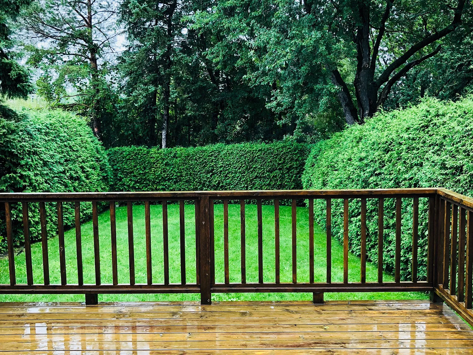 5 bed, $4,300 — Photo 4