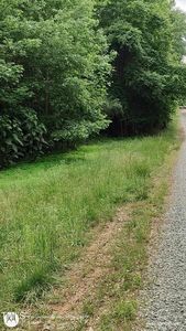 4353 Swepsonville Saxapahaw Rd #2, Graham, NC, 27253