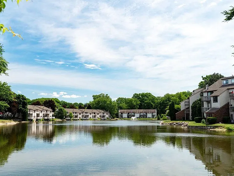 Lakeside Views