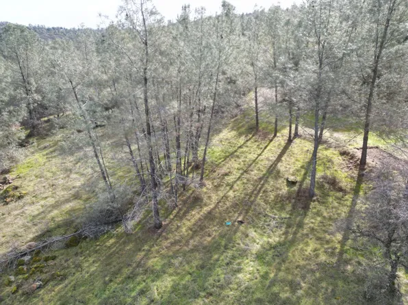 10600 Wild Turkey Ln, Smartsville, CA 95977
