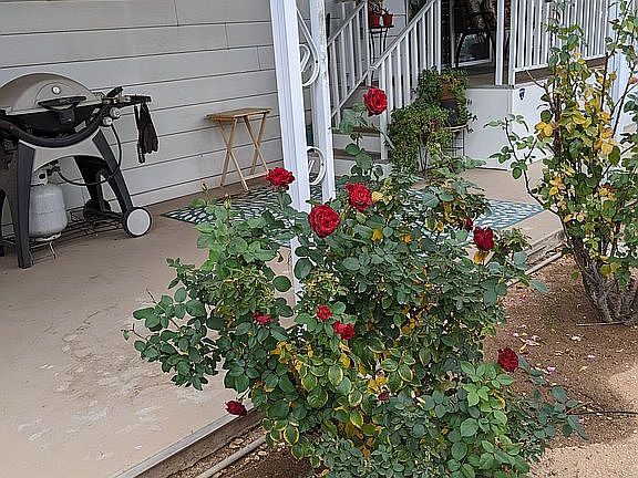 Porch full length of home