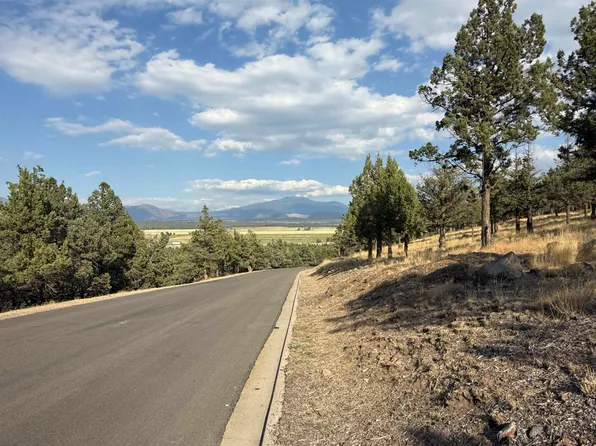 LOT 45 Palomino Rd, Weed, CA 96094