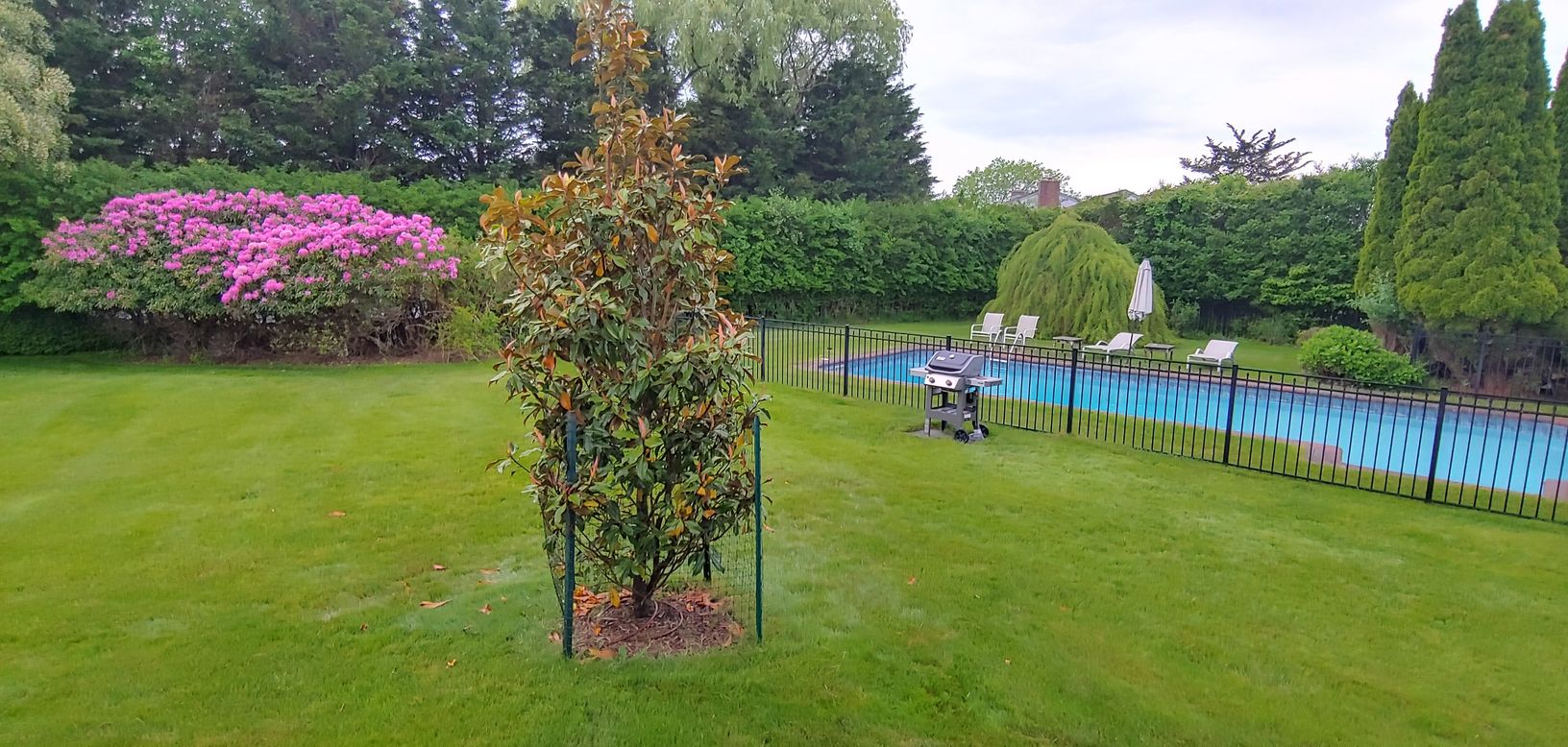  BEAUTIFUL YARD