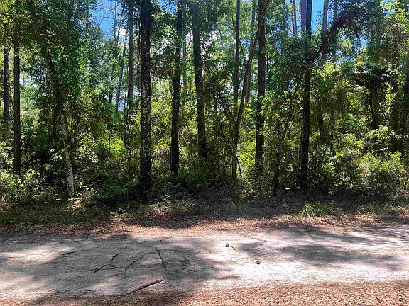 3rd image of Owl Ln