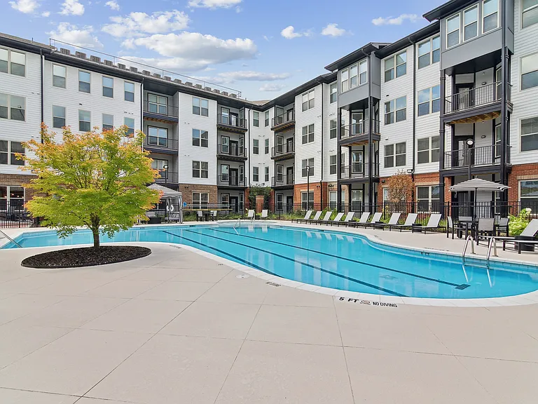 Avana on Main — Photo 17