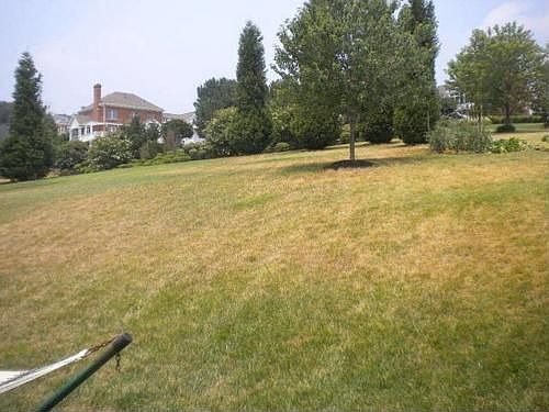 3rd image of 737 W Carrollton Ave