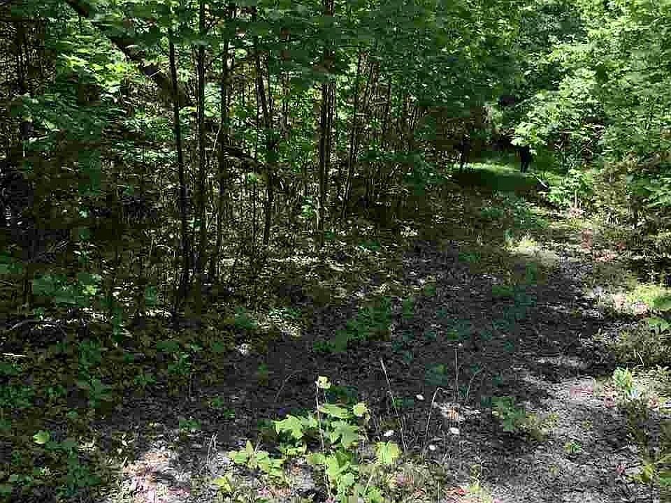2nd image of 0 Mutton Hollow Rd #1&2
