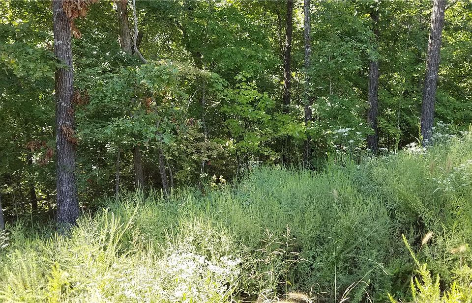 2nd image of Newhaven Ln #51
