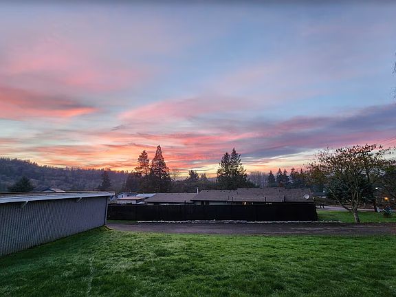 Backyard sunset
