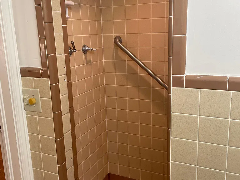 Shower in the main bathroom