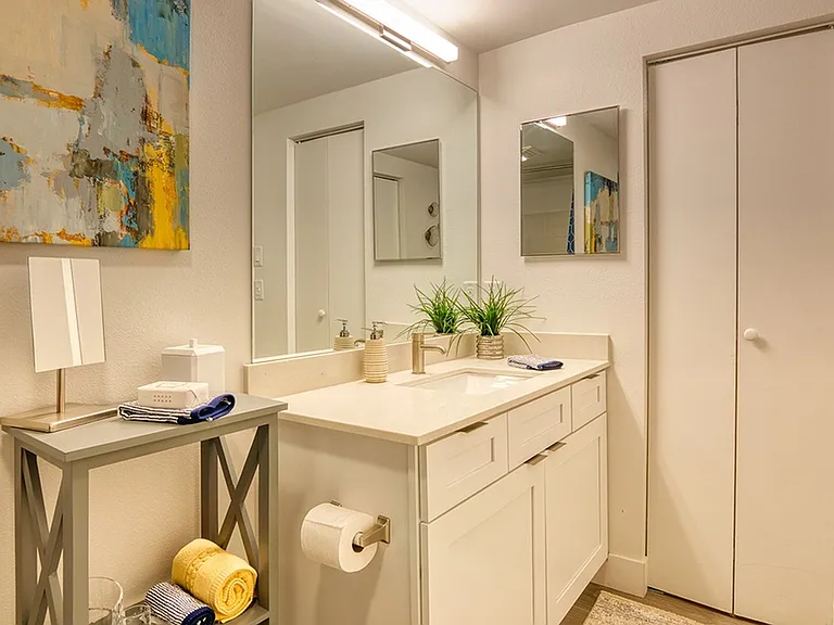 Model apartment bathroom