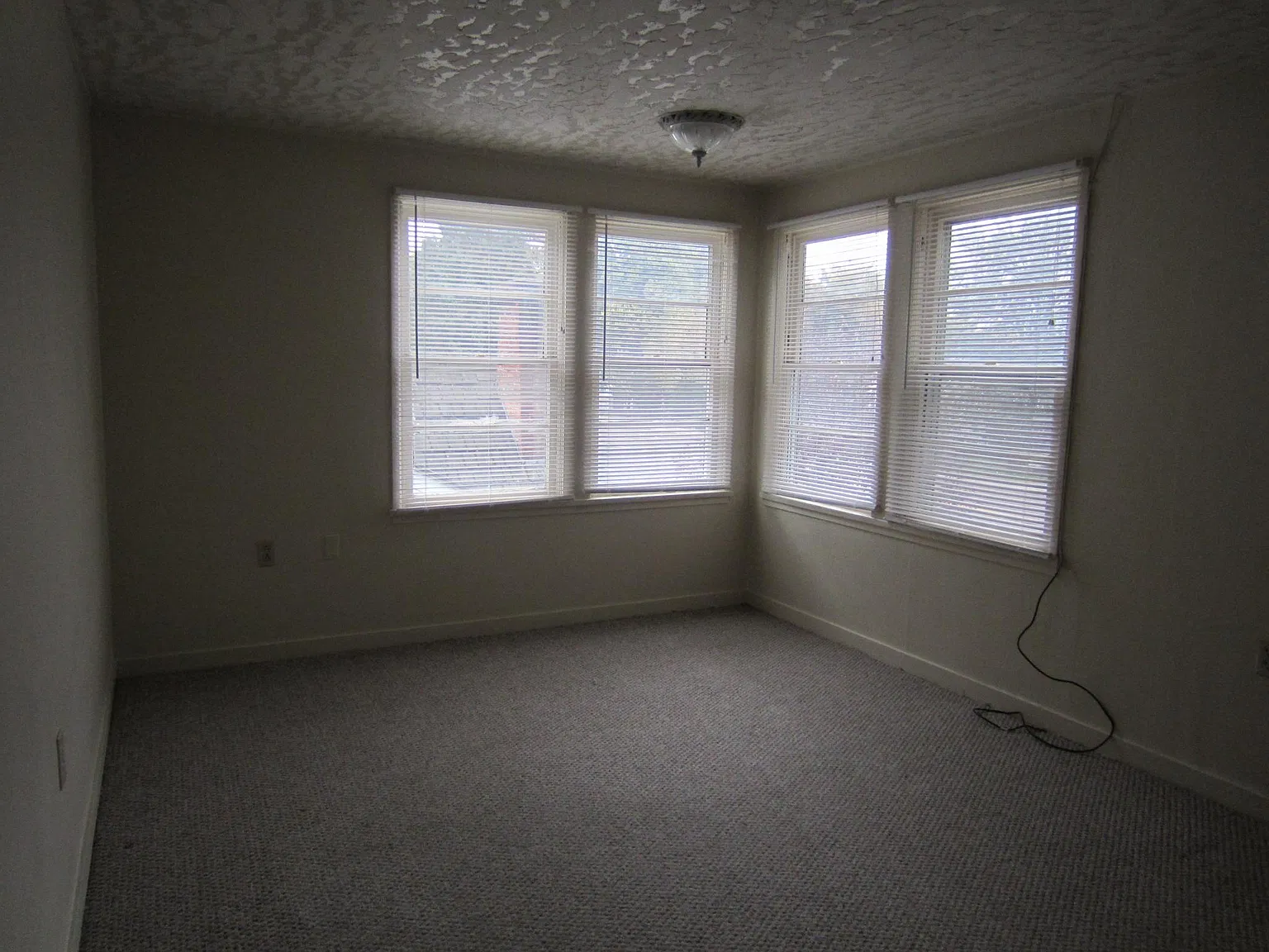 1 bed, 500 sqft, $775 — Photo 3