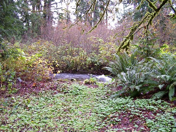 5th image of 23316 Alder Dr