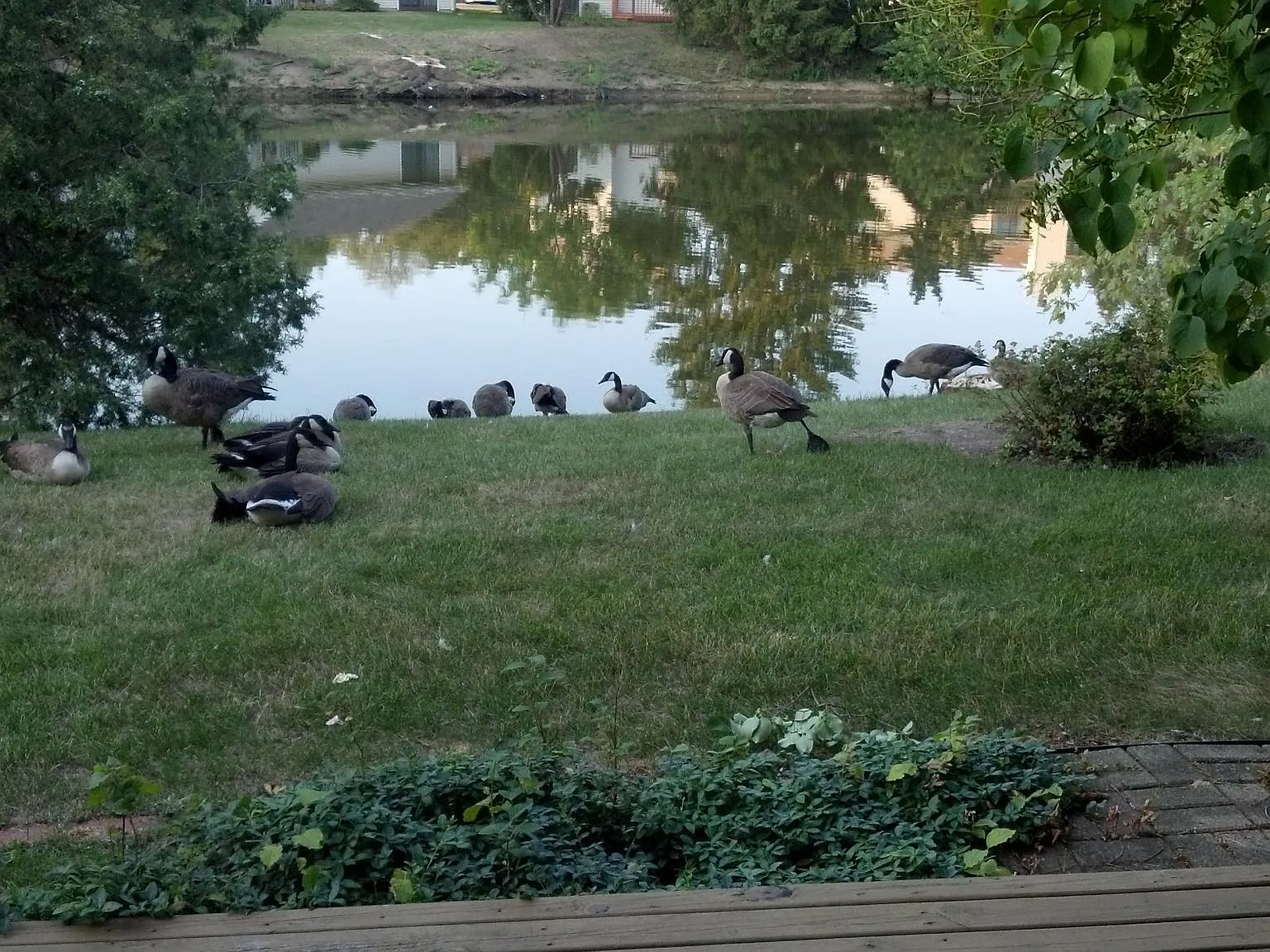 1432 N Whispering Springs Cir — Photo 3