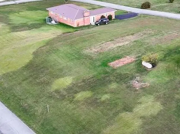 Walton Cir, Mosheim, TN 37818