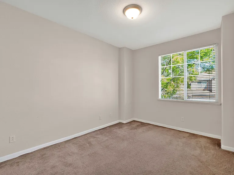 355 Foxglove St — Photo 7