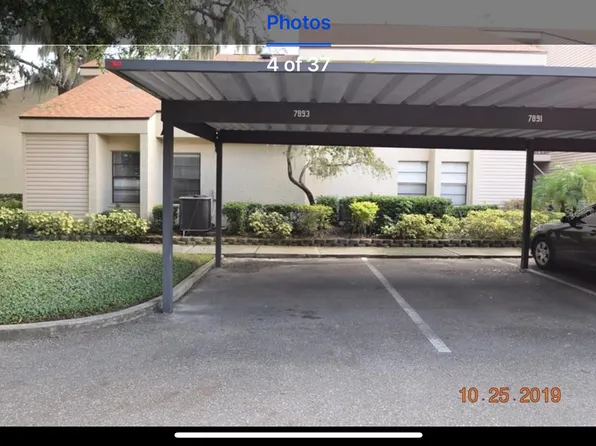 7893 Niagara Ave, Tampa, FL 33617