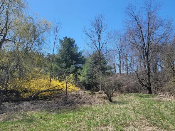 20A W Coe Rd, Riverdale, MI 48877