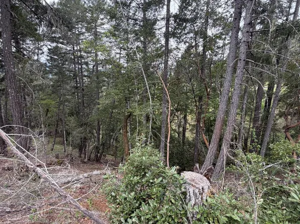 25648 Madrone Drive, Willits, CA 95490