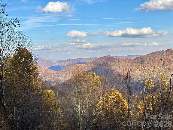 2nd image of N Lot Meadow Fork Rd