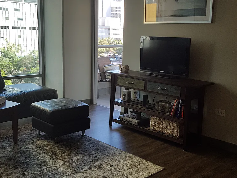 425 W Beech St #701 — Photo 9