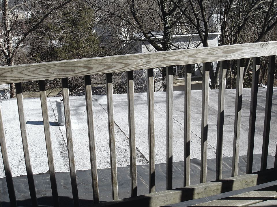 View from Deck