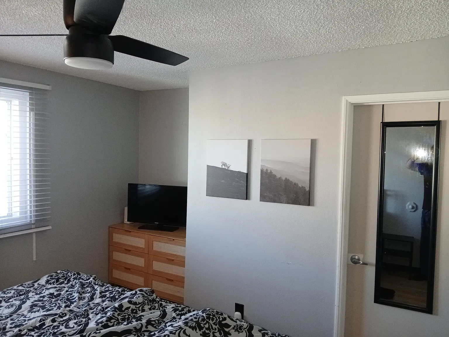 1 bed, 353 sqft, $2,200 — Photo 2