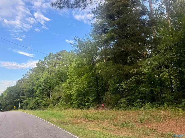 Duck Spring Rd, Attalla, AL 35954
