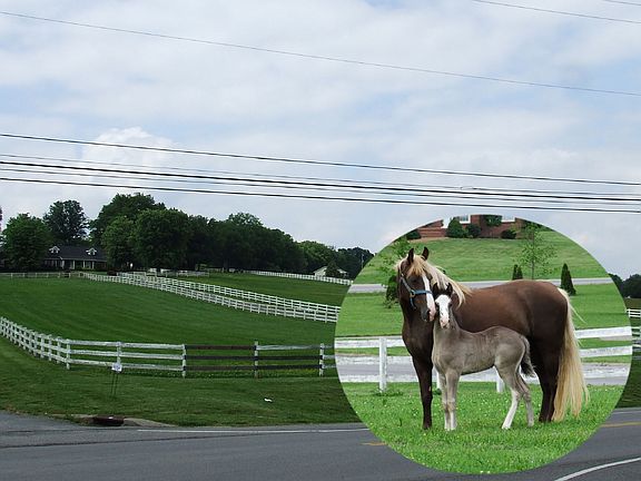 7.58 Acres of dream land